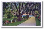 norman-martin-north-carolina-nc-wilmington-0012.jpg, Wilmington, North Carolina: norman-martin-north-carolina-nc-wilmington-0012.jpg [18390-217320204]