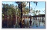 norman-martin-north-carolina-nc-wilmington-0138.jpg, Wilmington, North Carolina: norman-martin-north-carolina-nc-wilmington-0138.jpg [18516-217320199]