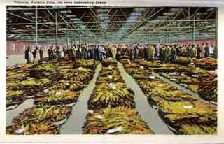 norman-martin-north-carolina-nc-winston-salem-0104.jpg, Winston Salem, North Carolina : norman-martin-north-carolina-nc-winston-salem-0104.jpg [13238-170320206]