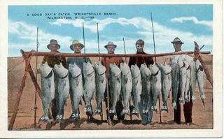 norman-martin-north-carolina-nc-wrightsville-beach-0072.jpg, Wrightsville Beach, North Carolina : norman-martin-north-carolina-nc-wrightsville-beach-0072.jpg [10129-72320199]