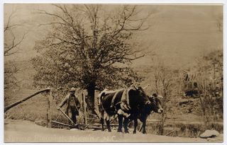 norman-martin-north-carolina-nc-yancey-county-0006.jpg, Yancey County, North Carolina : norman-martin-north-carolina-nc-yancey-county-0006.jpg [638-15320205]